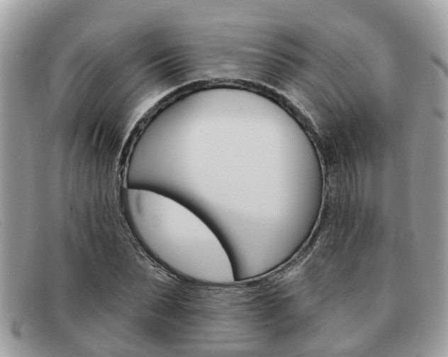 X0000091590879200708200950