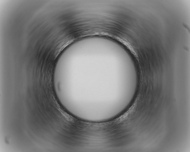 X0000091590881200708200950