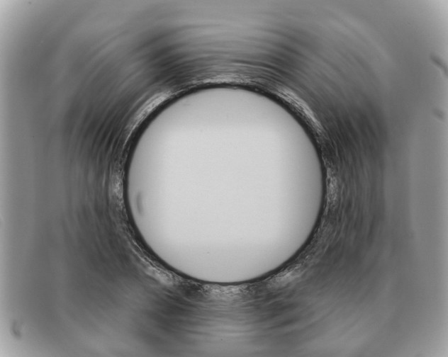 X0000091590882200708200950