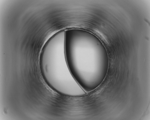 X0000091590884200708200949