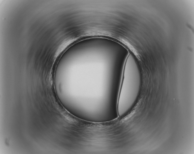 X0000091590885200708200949