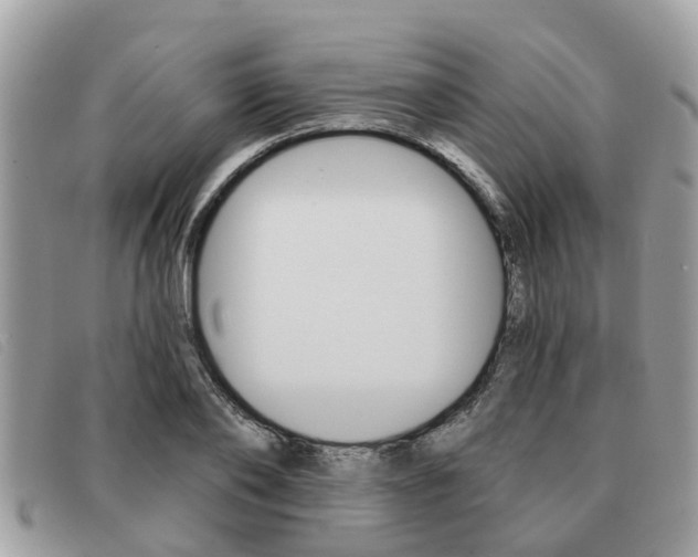 X0000091590886200708200949