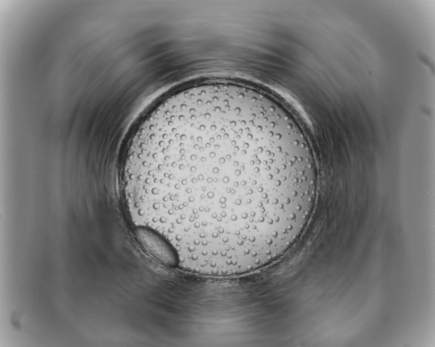 X0000091590887200708200949
