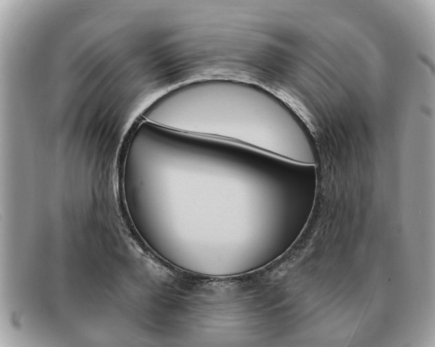 X0000091590888200708200949