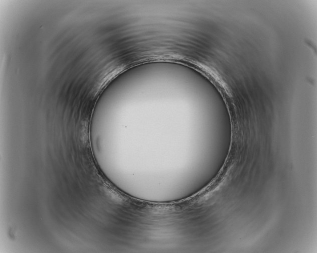 X0000091590889200708200949