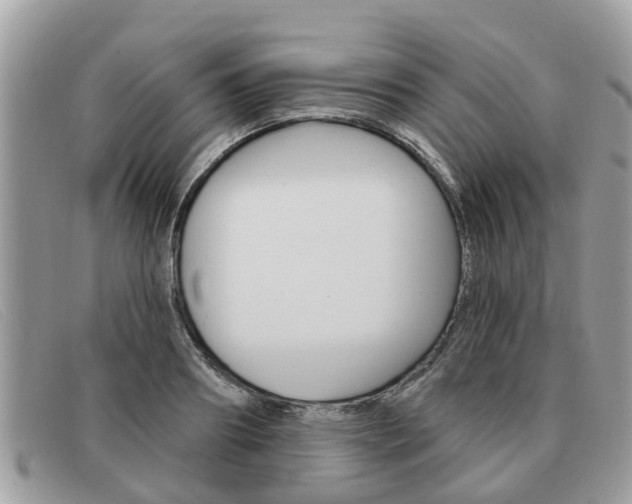 X0000091590890200708200949