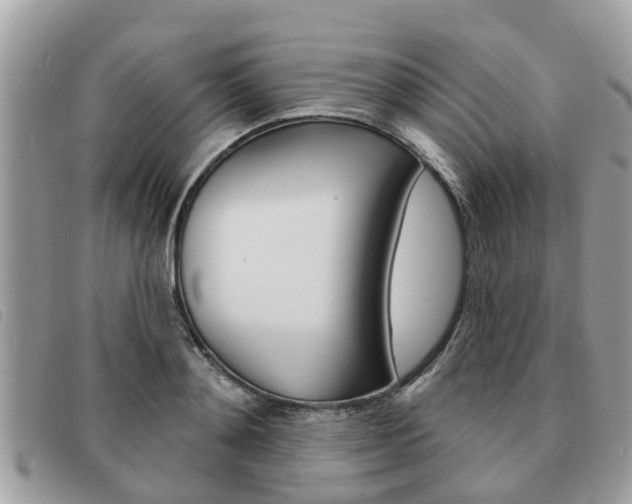 X0000091590892200708200949