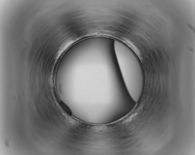 X0000091590893200708200949