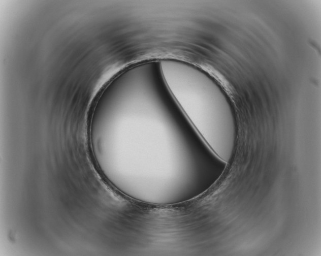 X0000091590894200708200949