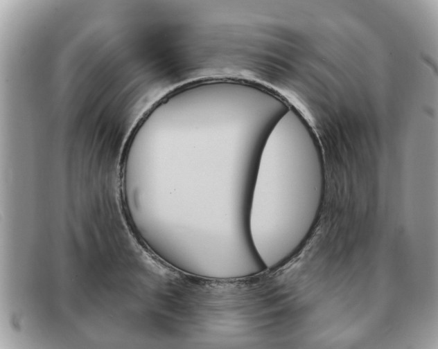 X0000091590895200708200949