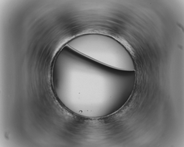 X0000091590896200708200949