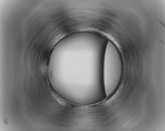 X0000091590897200708200949