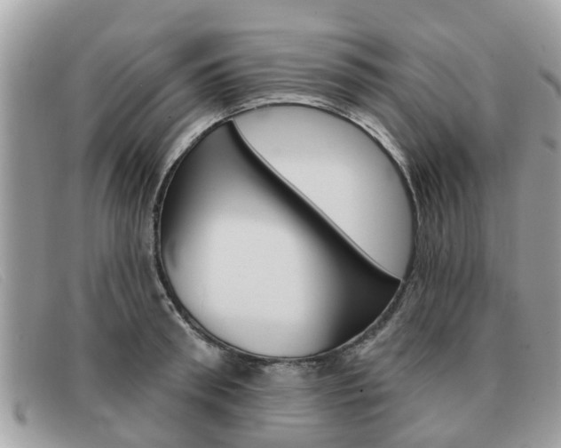 X0000091590898200708200949
