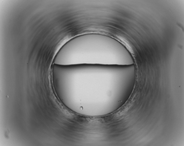 X0000091590899200708200949