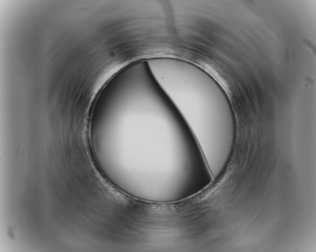 X0000091590901200708200949