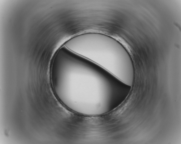 X0000091590902200708200949