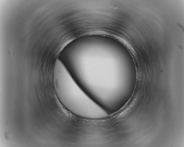 X0000091590905200708200949