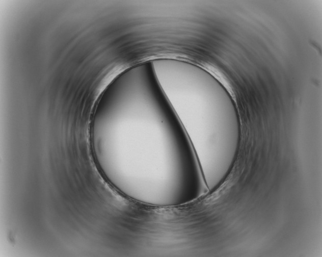 X0000091590906200708200949