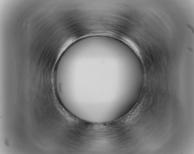 X0000091590907200708200949