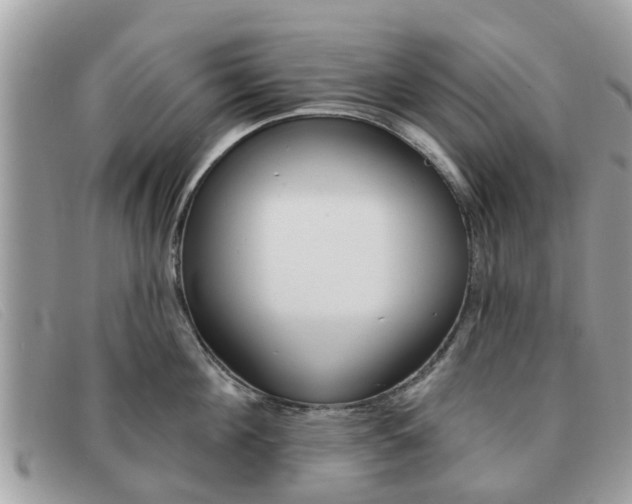 X0000091590908200708200949