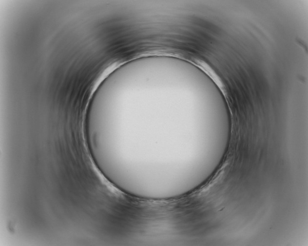 X0000091590909200708200949