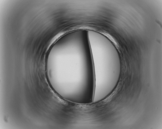 X0000091590910200708200949