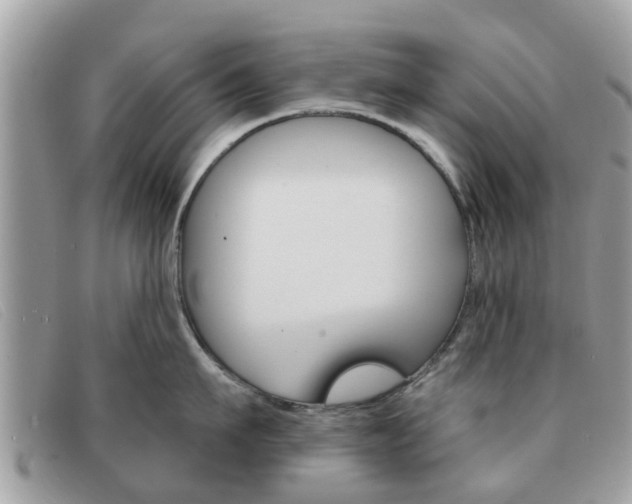 X0000091590911200708200949