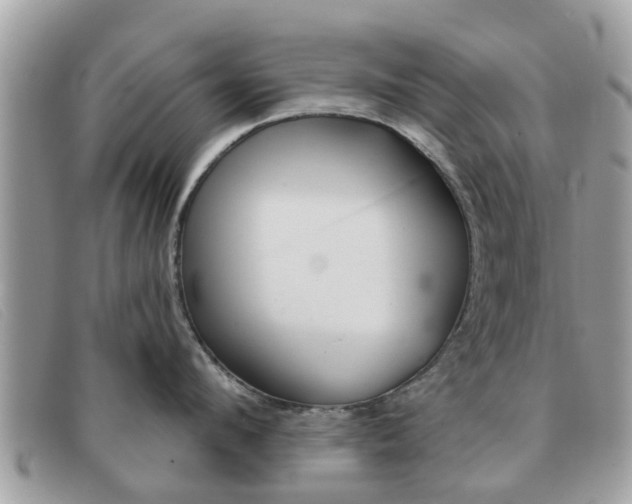 X0000091590912200708200949