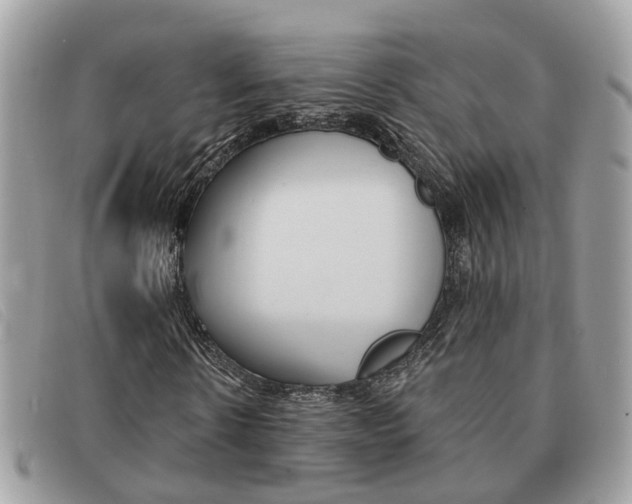 X0000091590914200708200948