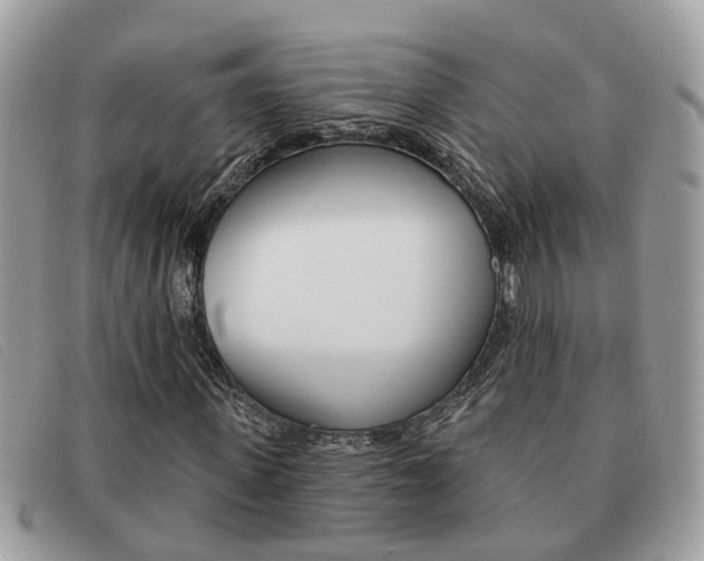 X0000091590915200708200948
