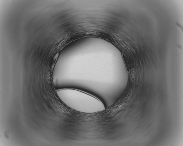 X0000091590916200708200948