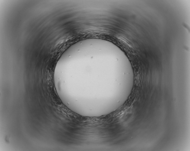 X0000091590917200708200948