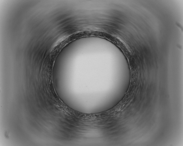X0000091590919200708200948