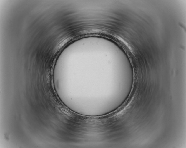 X0000091590921200708200948