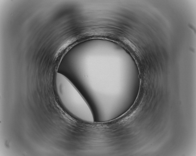 X0000091590922200708200948