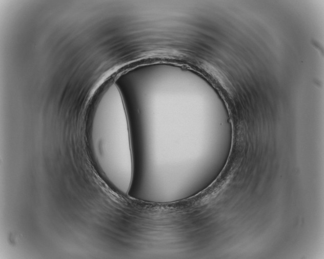 X0000091590923200708200948