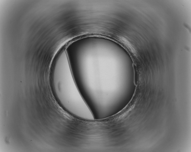 X0000091590924200708200948
