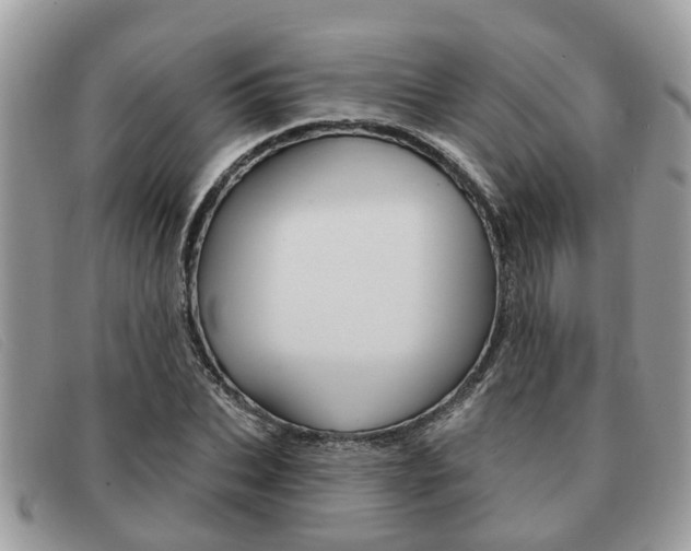 X0000091590927200708200948