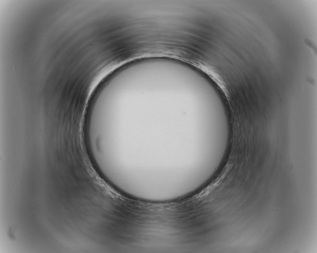 X0000091590928200708200948