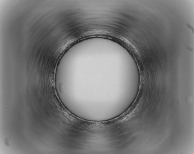 X0000091590929200708200948