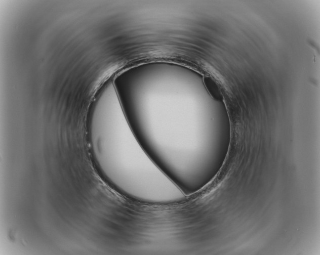 X0000091590930200708200949