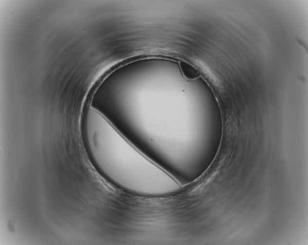X0000091590932200708200949