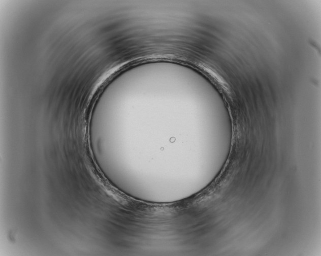 X0000091590933200708200949