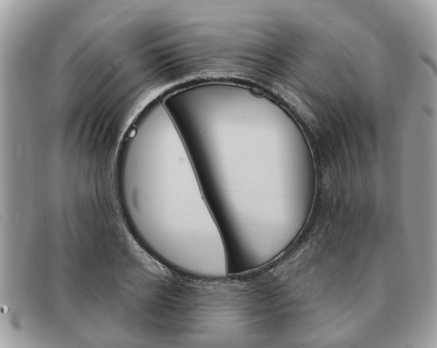 X0000091590934200708200949