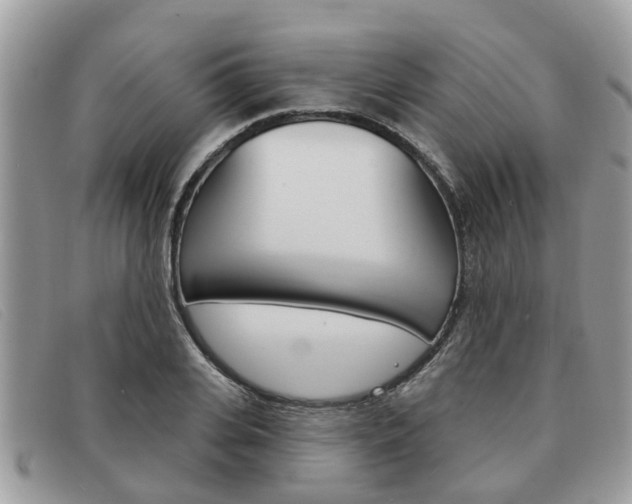 X0000091590935200708200949
