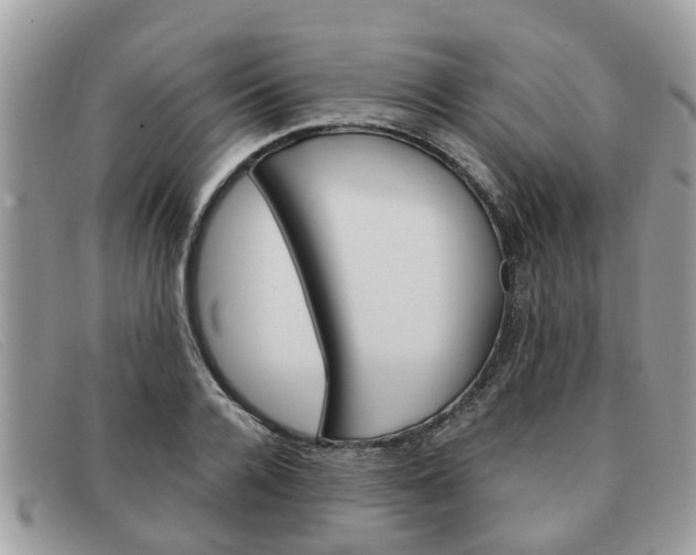X0000091590936200708200949
