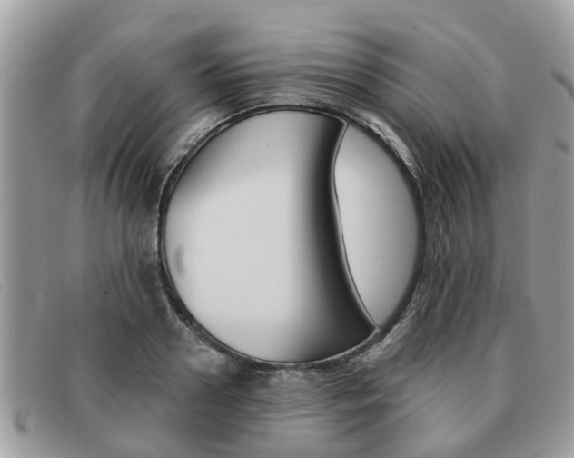 X0000091590938200708200949