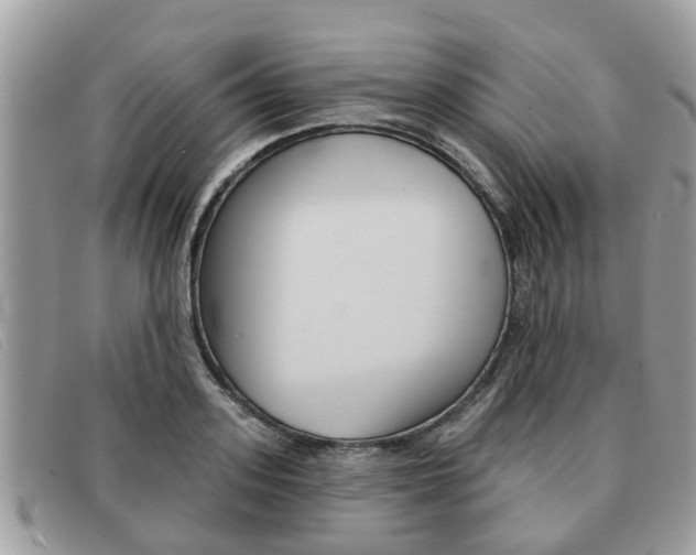 X0000091590939200708200949