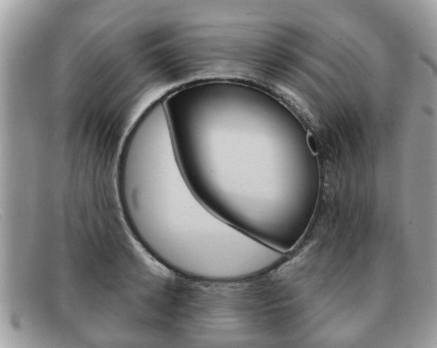 X0000091590942200708200949