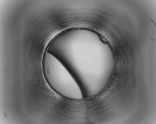 X0000091590943200708200949